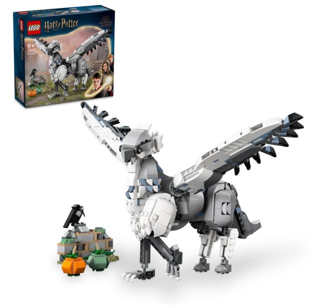 Конструктор LEGO Harry Potter Бакбик